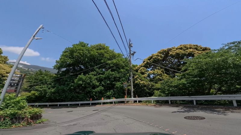 頼朝ライン